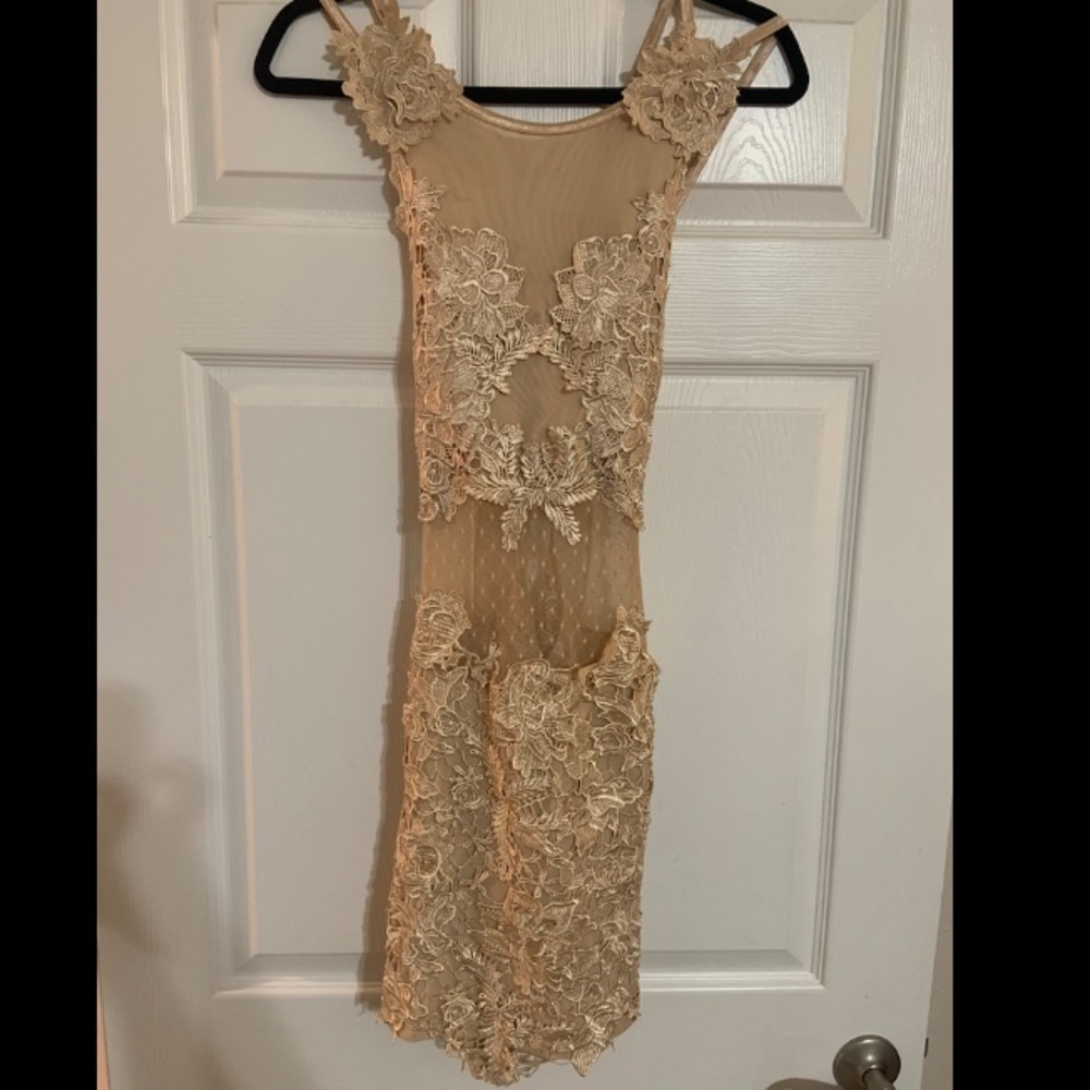 Bodycon dress with an open back and sheer center front panel.